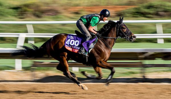 Alice Verite, Longines Breeders' Cup Distaff, Del Mar, America's Best Racing, horse racing, ABR 